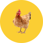 Animal logo